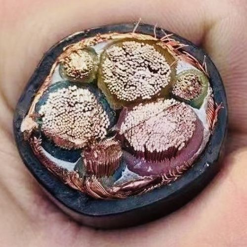 ɳ��������(�й�)�ٷ���վ -APP����