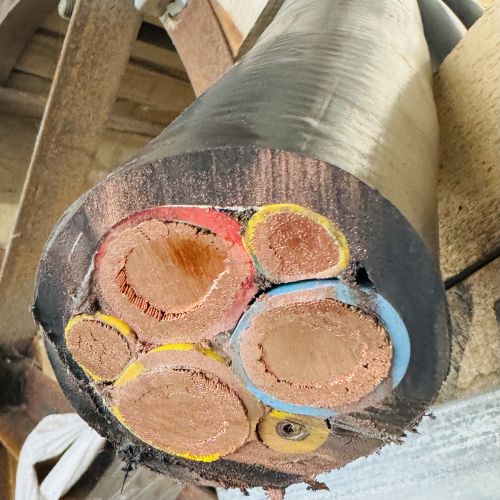 ɳ��������(�й�)�ٷ���վ -APP����