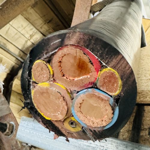 ɳ��������(�й�)�ٷ���վ -APP����