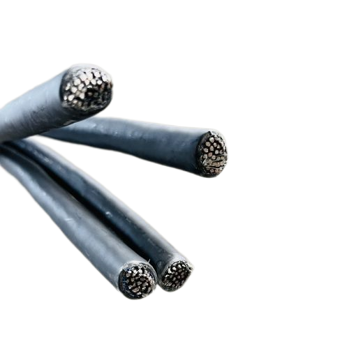 ɳ��������(�й�)�ٷ���վ -APP����