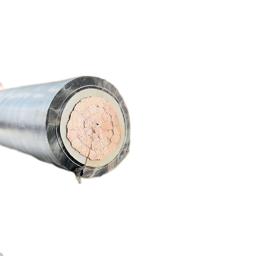 ɳ��������(�й�)�ٷ���վ -APP����