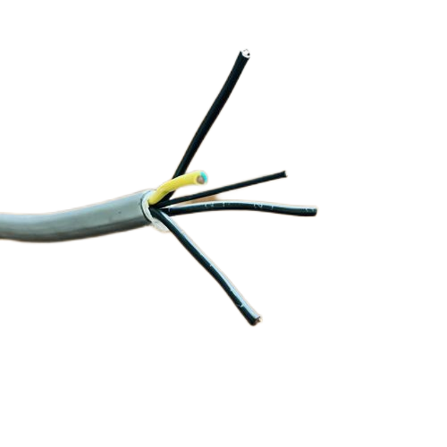 ɳ��������(�й�)�ٷ���վ -APP����