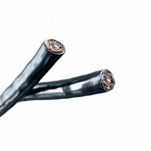 ɳ��������(�й�)�ٷ���վ -APP����