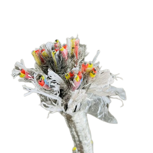 ɳ��������(�й�)�ٷ���վ -APP����