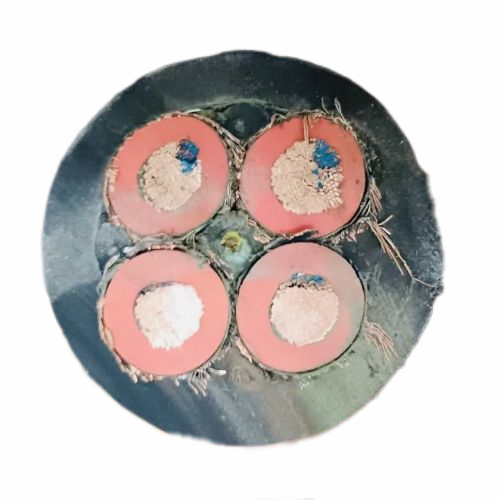 ɳ��������(�й�)�ٷ���վ -APP����