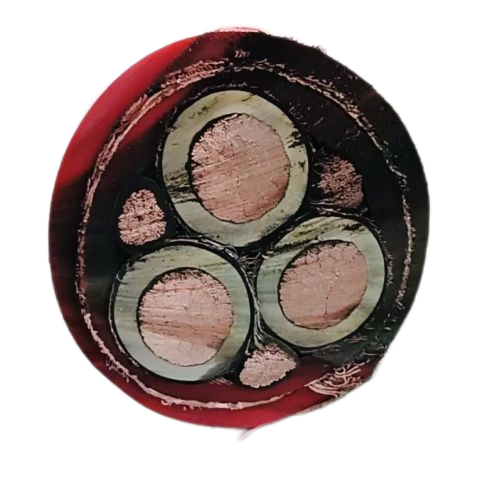 ɳ��������(�й�)�ٷ���վ -APP����