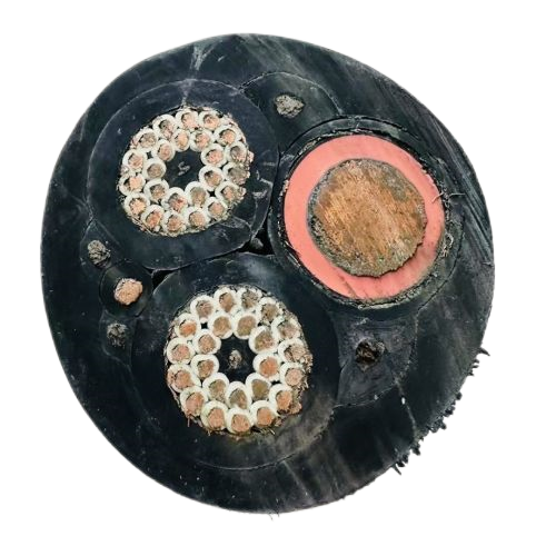 ɳ��������(�й�)�ٷ���վ -APP����