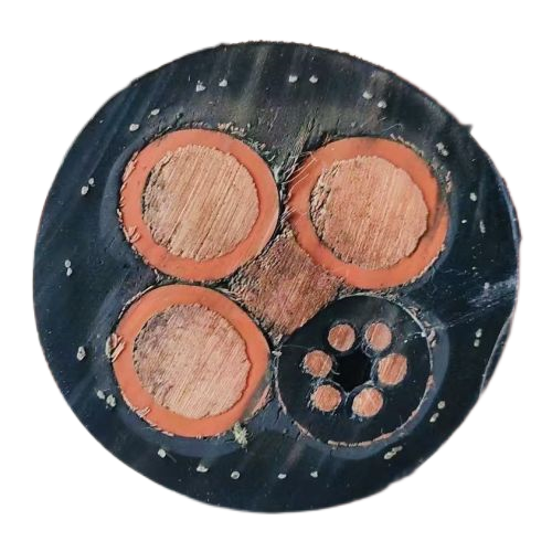 ɳ��������(�й�)�ٷ���վ -APP����