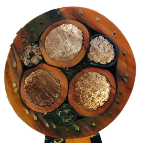 ɳ��������(�й�)�ٷ���վ -APP����