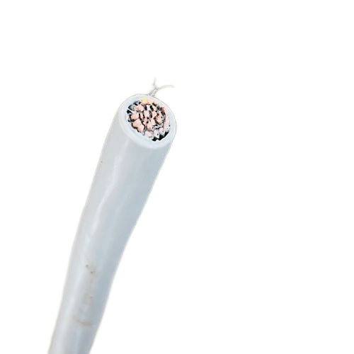 ɳ��������(�й�)�ٷ���վ -APP����