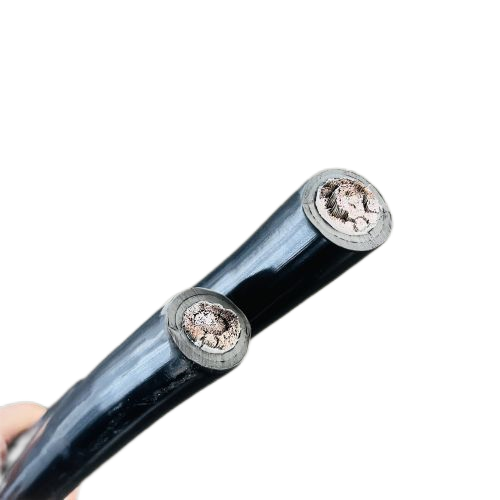 ɳ��������(�й�)�ٷ���վ -APP����