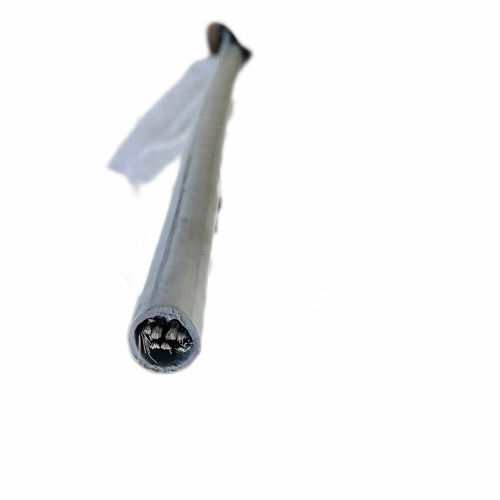 ɳ��������(�й�)�ٷ���վ -APP����