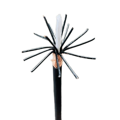 ɳ��������(�й�)�ٷ���վ -APP����