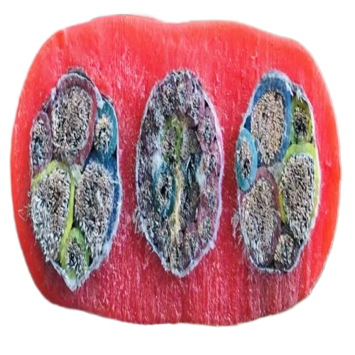 ɳ��������(�й�)�ٷ���վ -APP����