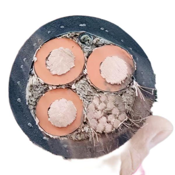 ɳ��������(�й�)�ٷ���վ -APP����