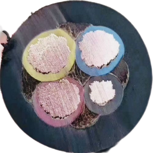 ɳ��������(�й�)�ٷ���վ -APP����