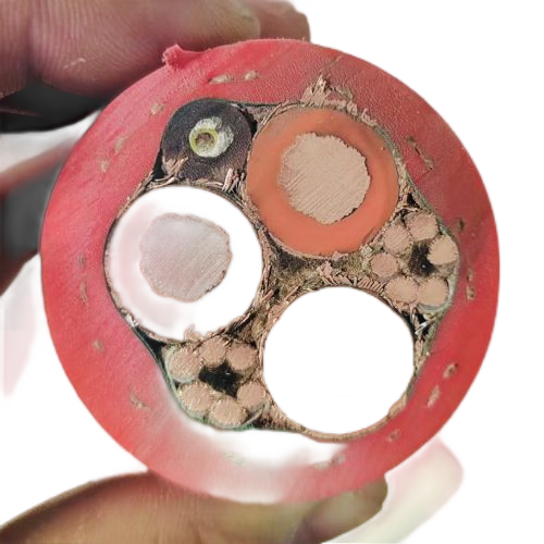 ɳ��������(�й�)�ٷ���վ -APP����