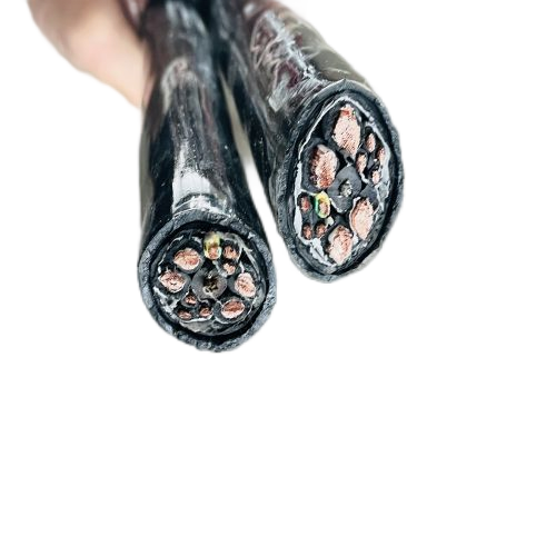 ɳ��������(�й�)�ٷ���վ -APP����