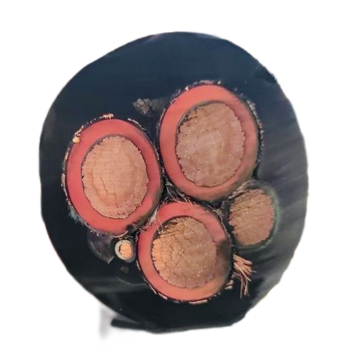 ɳ��������(�й�)�ٷ���վ -APP����