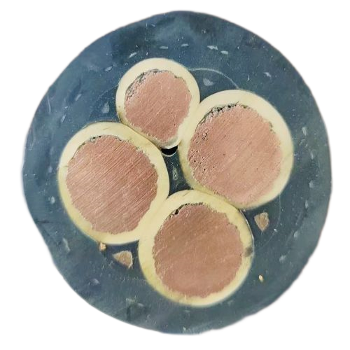 ɳ��������(�й�)�ٷ���վ -APP����