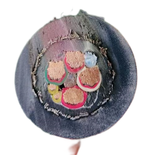 ɳ��������(�й�)�ٷ���վ -APP����