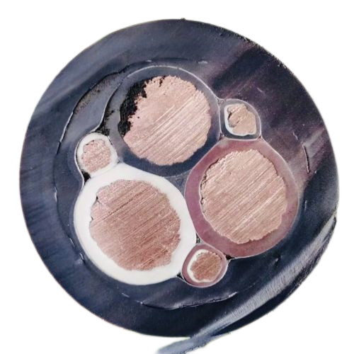 ɳ��������(�й�)�ٷ���վ -APP����