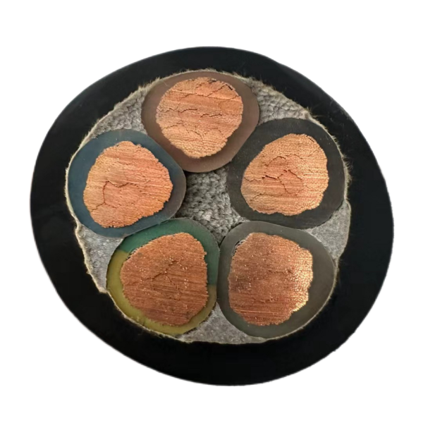 ɳ��������(�й�)�ٷ���վ -APP����