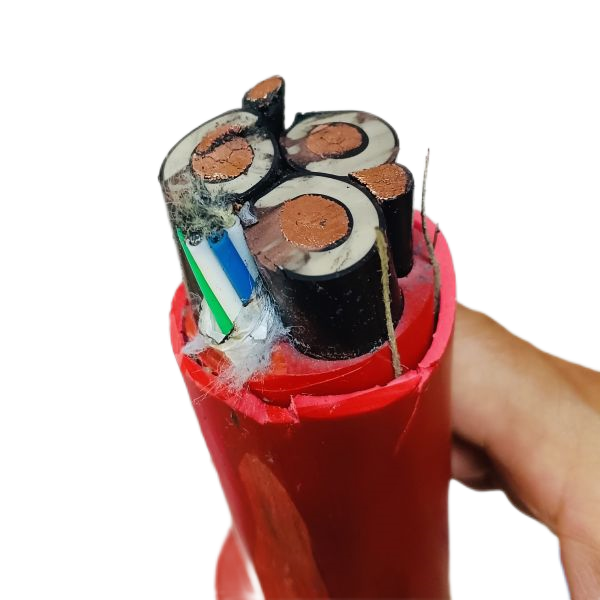 ɳ��������(�й�)�ٷ���վ -APP����