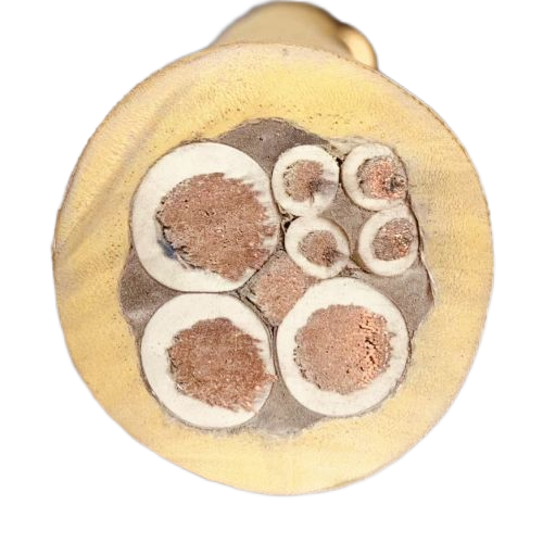 ɳ��������(�й�)�ٷ���վ -APP����