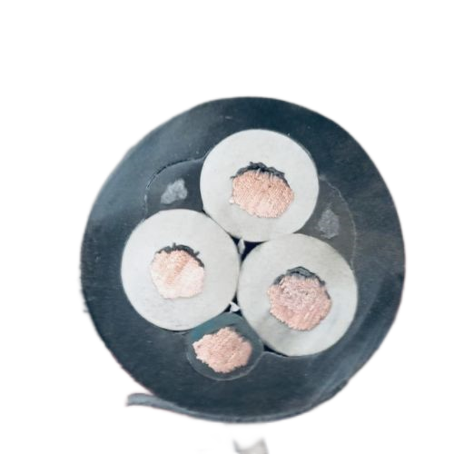 ɳ��������(�й�)�ٷ���վ -APP����