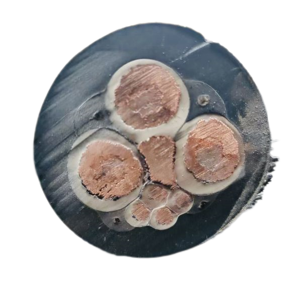 ɳ��������(�й�)�ٷ���վ -APP����