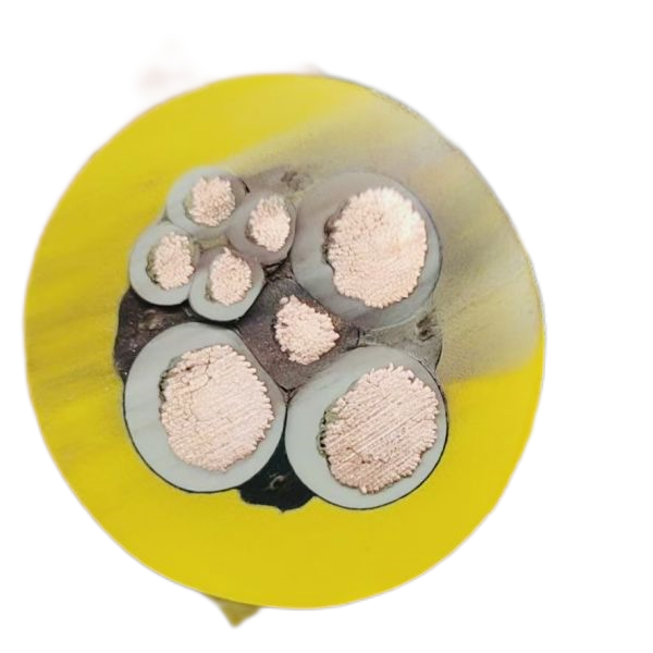 ɳ��������(�й�)�ٷ���վ -APP����