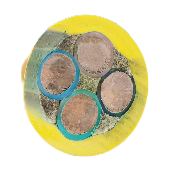 ɳ��������(�й�)�ٷ���վ -APP����