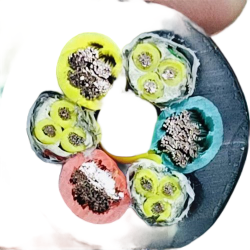 ɳ��������(�й�)�ٷ���վ -APP����