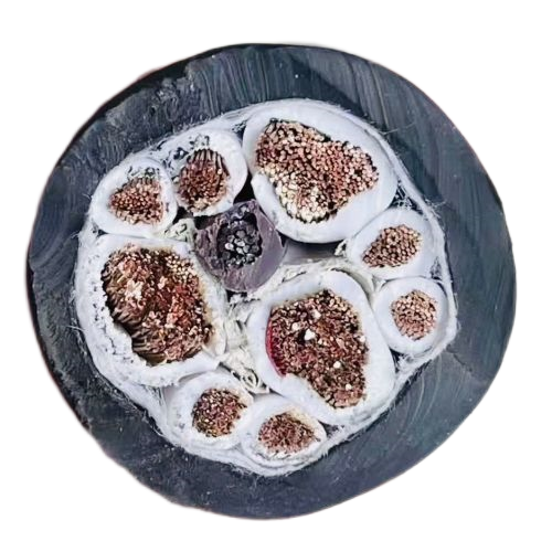 ɳ��������(�й�)�ٷ���վ -APP����