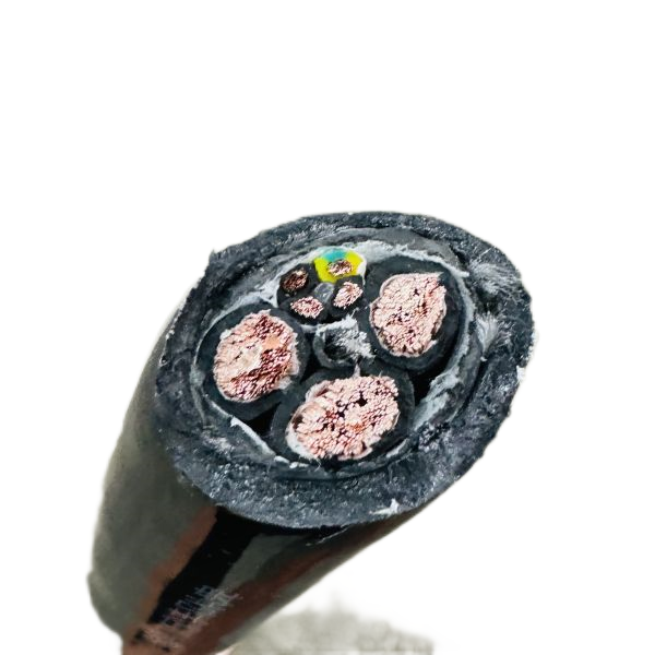 ɳ��������(�й�)�ٷ���վ -APP����