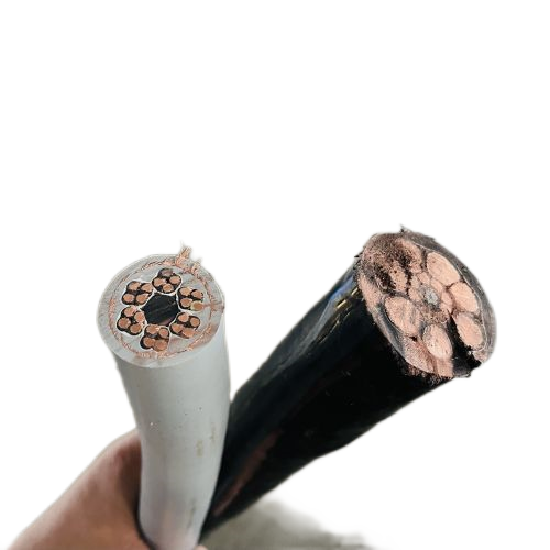 ɳ��������(�й�)�ٷ���վ -APP����