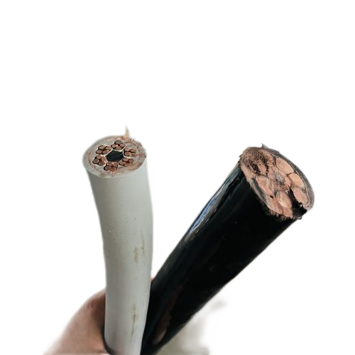 ɳ��������(�й�)�ٷ���վ -APP����