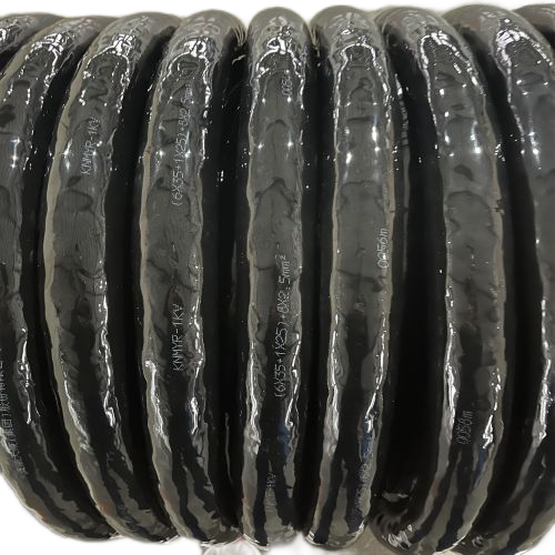 ɳ��������(�й�)�ٷ���վ -APP����