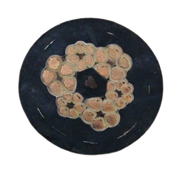 ɳ��������(�й�)�ٷ���վ -APP����