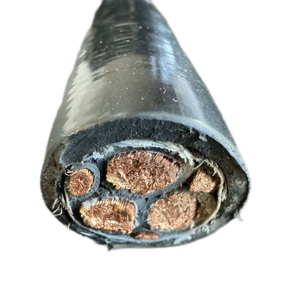 ɳ��������(�й�)�ٷ���վ -APP����