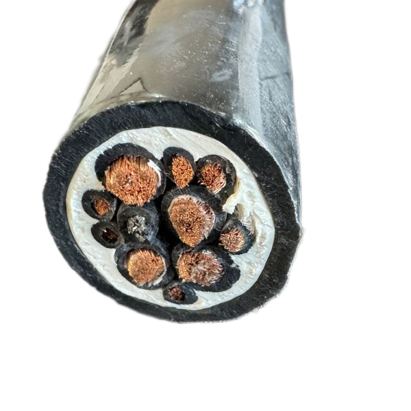 ɳ��������(�й�)�ٷ���վ -APP����