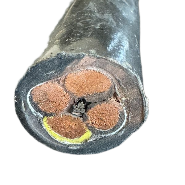 ɳ��������(�й�)�ٷ���վ -APP����