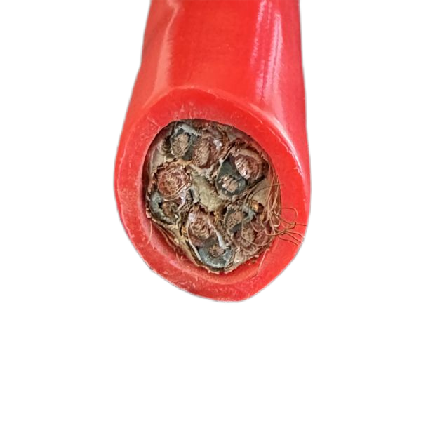 ɳ��������(�й�)�ٷ���վ -APP����