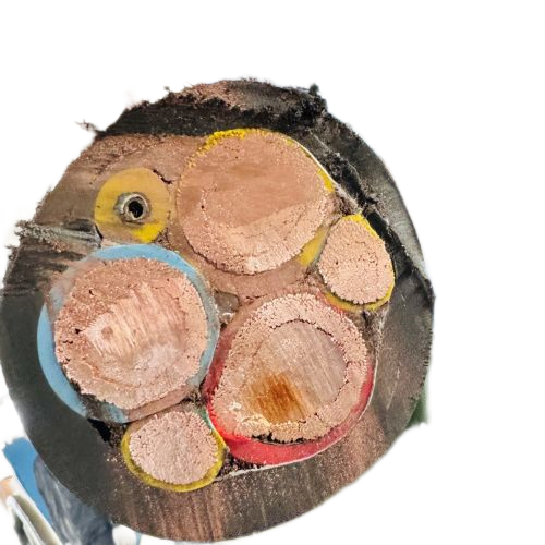 ɳ��������(�й�)�ٷ���վ -APP����