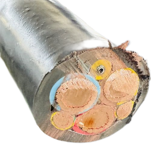 ɳ��������(�й�)�ٷ���վ -APP����