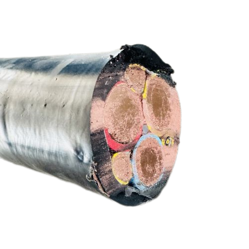 ɳ��������(�й�)�ٷ���վ -APP����