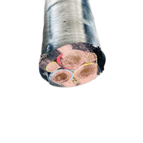 ɳ��������(�й�)�ٷ���վ -APP����