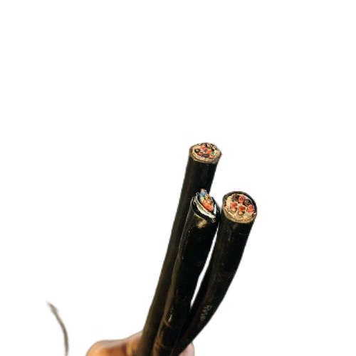 ɳ��������(�й�)�ٷ���վ -APP����