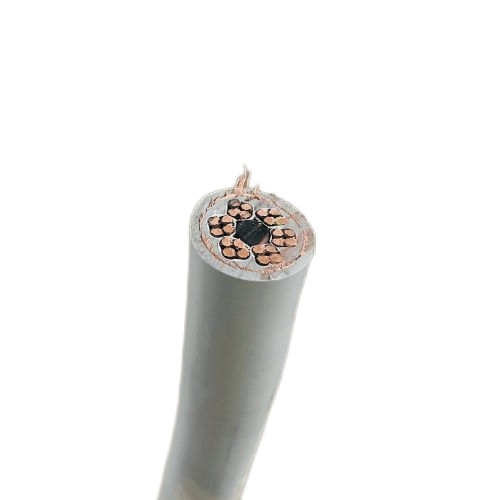 ɳ��������(�й�)�ٷ���վ -APP����